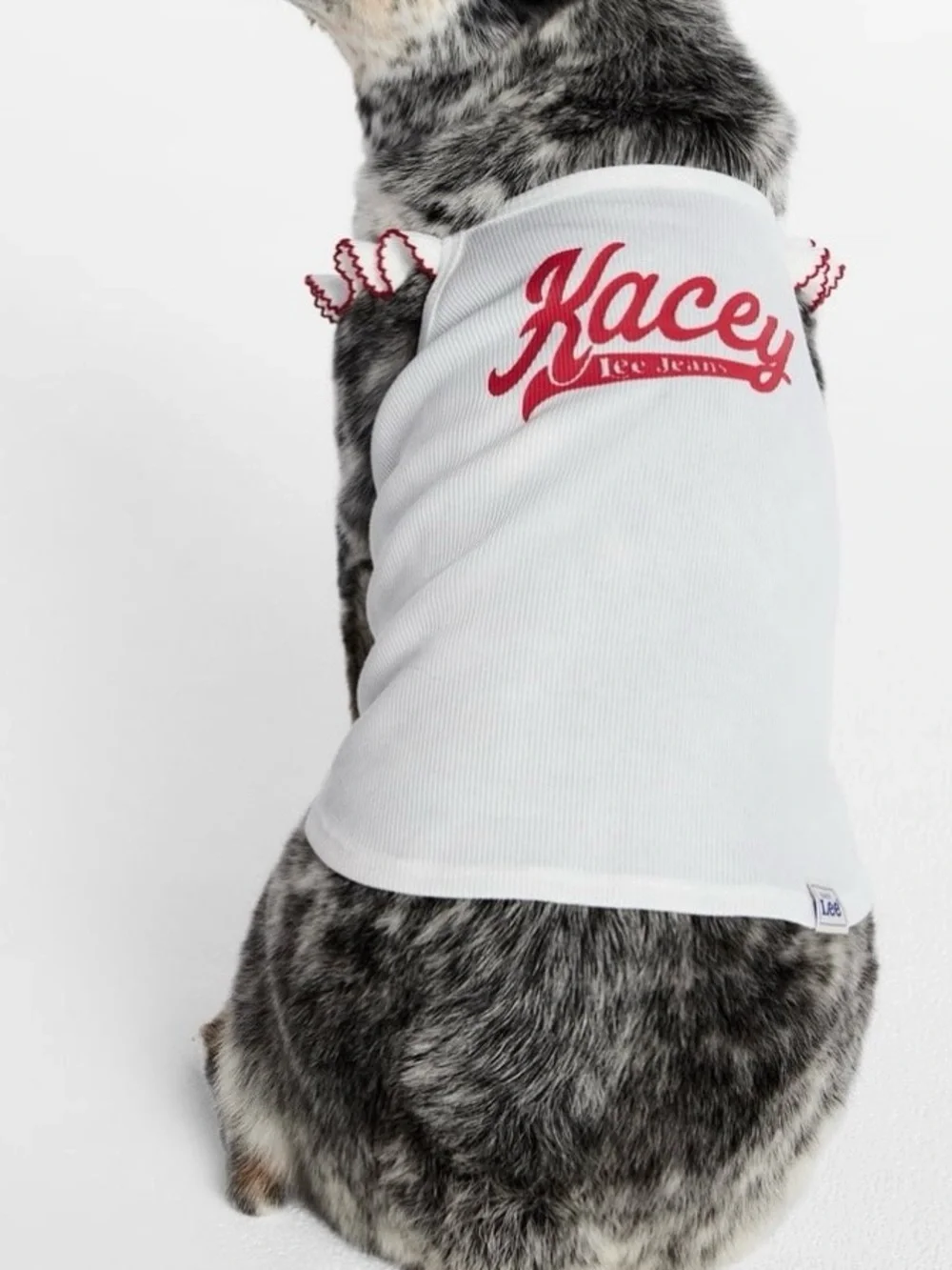 Kacey Lee Pet Tee for Cats and Dogs, Large